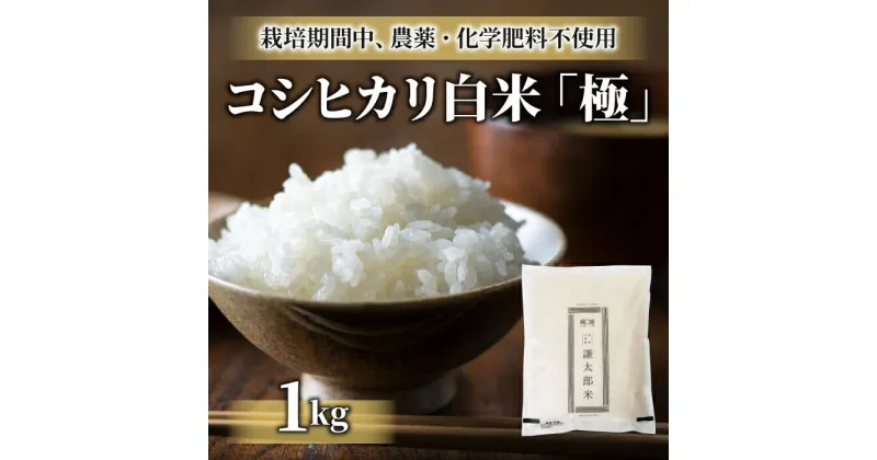 【ふるさと納税】（先行予約）【太陽と大地】八重原産コシヒカリ白米「極」（栽培期間中農薬化学肥料不使用）1kg 長野県 東御市 太陽と大地 コシヒカリ 減農薬 減化学肥料 白米 精米 八重原米 農薬不使用 化学肥料不使用