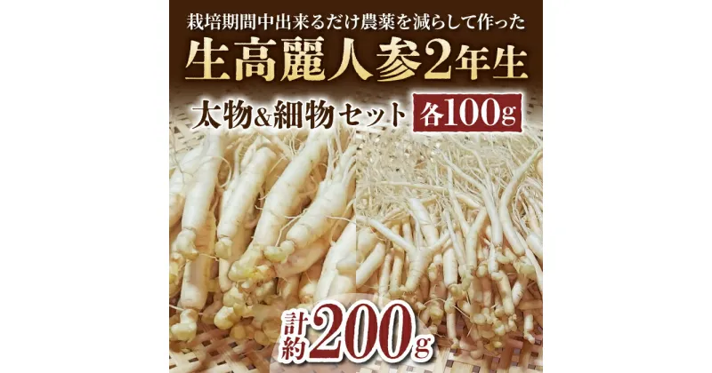 【ふるさと納税】【長野県東御市産】栽培期間中出来るだけ農薬を減らして作った国産生高麗人参 2年生 太物＆細物のセット 約200g（2024年10月中旬〜12月上旬頃お届け予定）