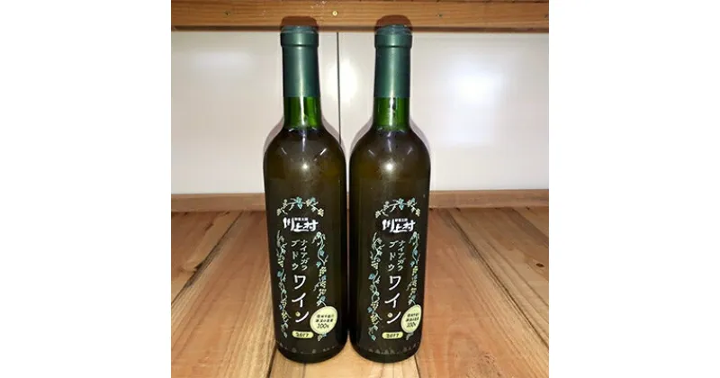 【ふるさと納税】高冷地で育ったナイアガラぶどうワイン(720ml)2本セット【1075923】