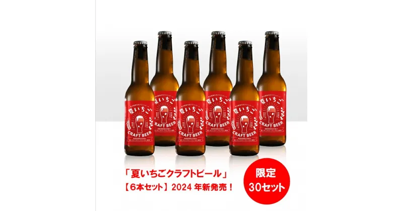 【ふるさと納税】夏いちごクラフトビール（6本）〜限定30セット、先行予約（7月以降出荷）〜　甘味料不使用の甘くないクラフトビール。夏いちごの爽やかな酸味と香りをお楽しみください。少量販売の為、南相木村内と周辺一部地域のみで販売しています。