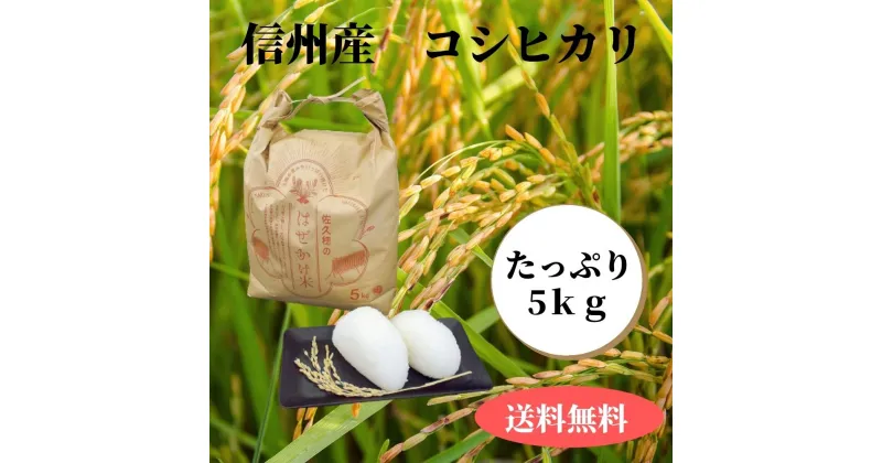 【ふるさと納税】令和6年産　太陽の恵みをいっぱいに受けた佐久穂の「はぜかけ米」　信州米　コシヒカリ　白米　5kg　　〔CH-08〕