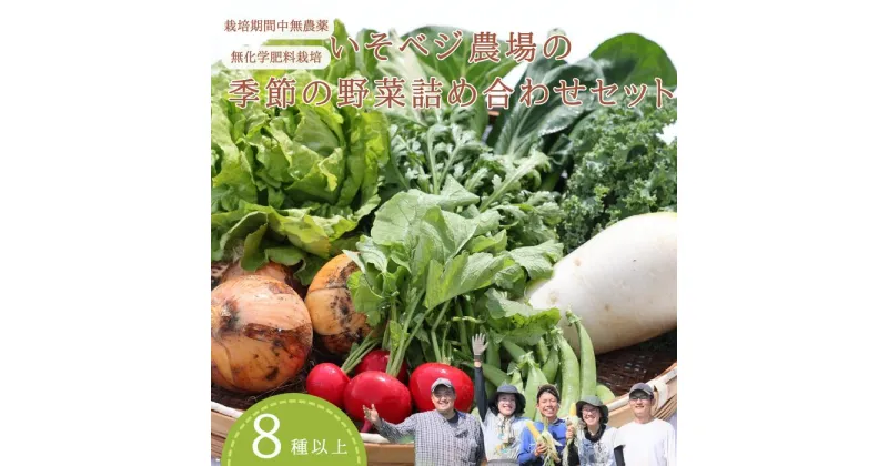 【ふるさと納税】送料無料　野菜詰め合わせセット　無農薬無化学肥料栽培　旬の野菜セット　季節の野菜詰め合わせセット　　IV-01　いそベジ農場