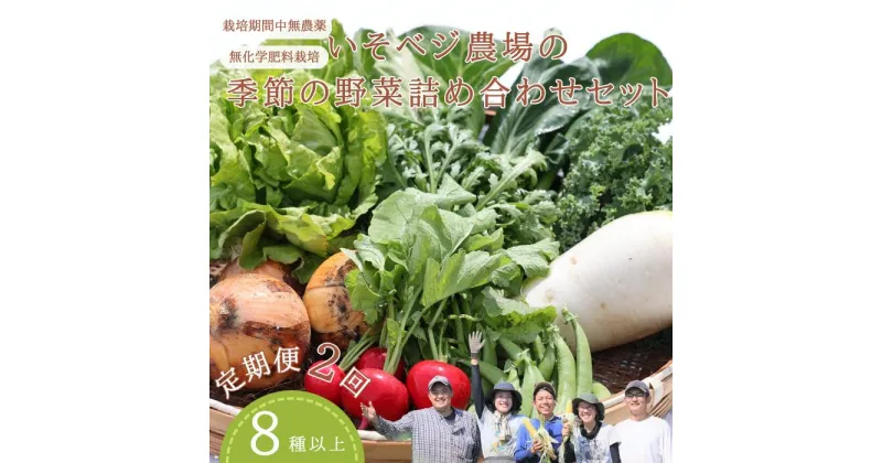 【ふるさと納税】定期便　野菜　送料無料　野菜詰め合わせセット　無農薬無化学肥料栽培　旬の野菜セット　季節の野菜詰め合わせセット　　IV-02　いそベジ農場