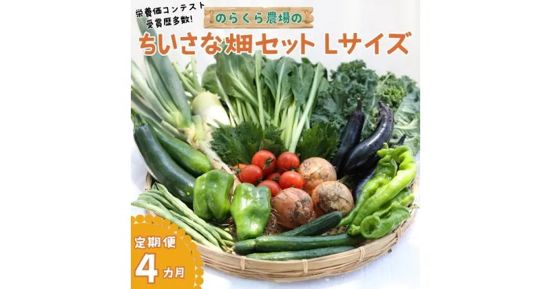 【ふるさと納税】定期便　4カ月　信州北八ヶ岳からお届け～ちいさな畑セット～（Lサイズ　3～4人前）有機野菜〔NK-02-4〕