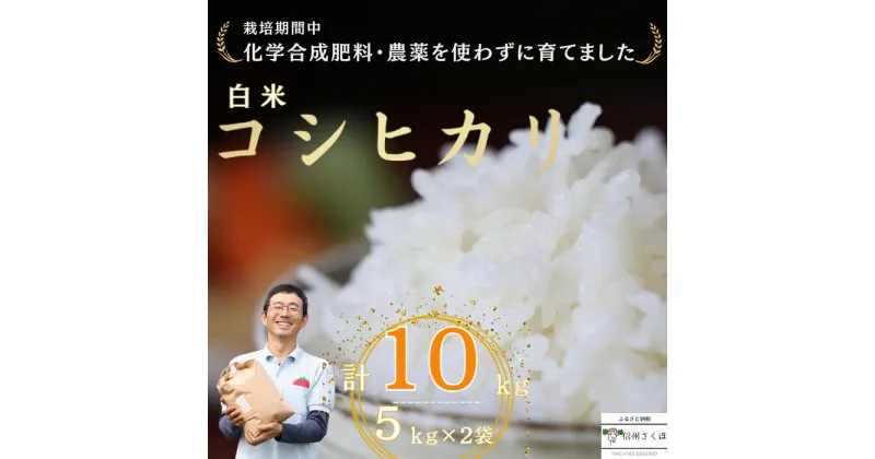 【ふるさと納税】令和6年産　炊きあがりのつやと香りが良く、うま味も強い　コシヒカリ　白米10kg　佐久穂とさや農園〔ST-W5-2〕