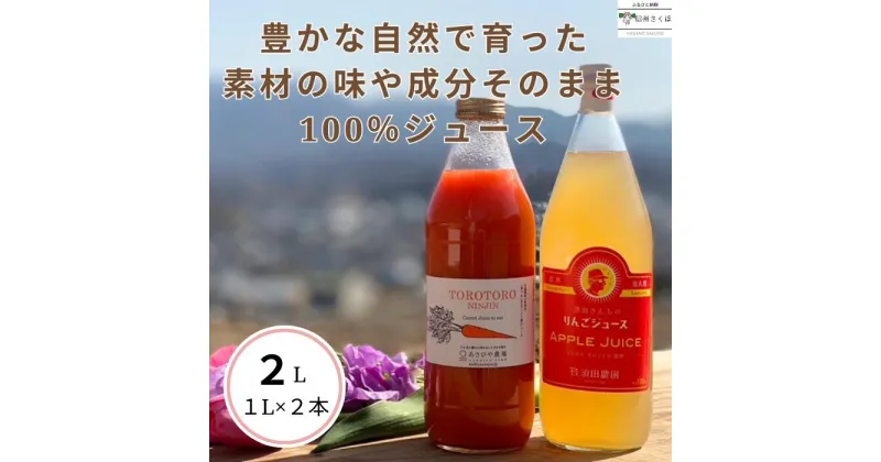 【ふるさと納税】信州産　果汁100％りんごジュース＆「食べる」まるごと人参ジュースセット　計2本〔SA-10〕