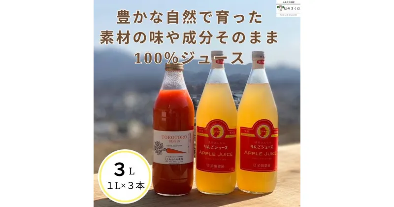 【ふるさと納税】信州産　果汁100％りんごジュース　2本　＆「食べる」まるごと人参ジュースセット　1本　計3本〔SA-11〕