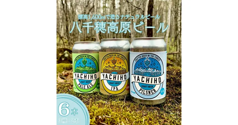 【ふるさと納税】高原の湧水でつくるクラフトビール　八千穂高原ビール　6本セット（3種×2本）　〔YB-01-6〕　クラフトビール　ペールエール　IPA　ピルスナー