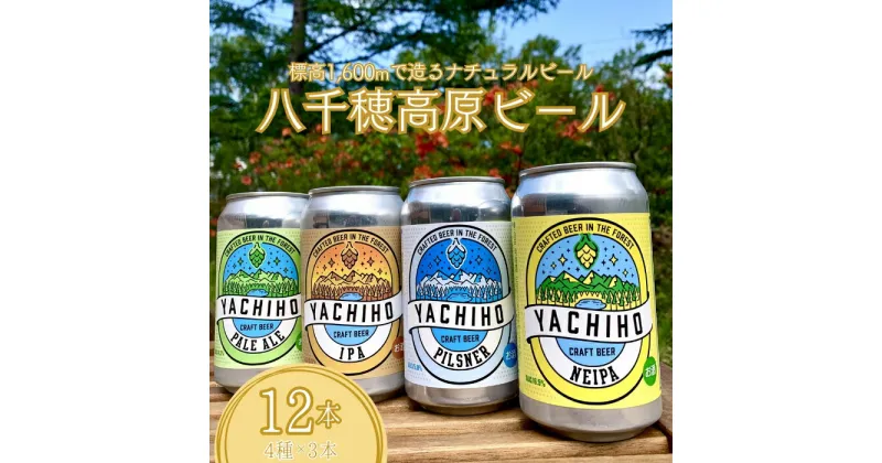 【ふるさと納税】高原の湧水でつくるクラフトビール　八千穂高原ビール　12本セット（4種×3本）　〔YB-01-12〕　クラフトビール　ペールエール　IPA　ピルスナー　季節のビール