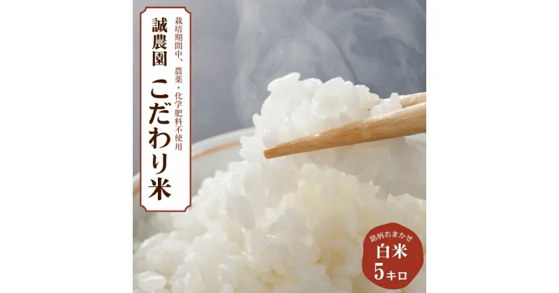 【ふるさと納税】【先行受付】令和6年産　銘柄はおまかせ！　信州産こだわり米　白米　5kg　〔MA-09-5〕　あきたこまち　コシヒカリ　たきたて