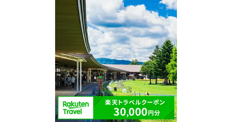 【ふるさと納税】楽天トラベル 軽井沢 長野県軽井沢町の対象施設で使える 楽天トラベルクーポン 寄付額100,000円(クーポン30,000円) 軽井沢 長野 宿泊 宿泊券 ホテル 旅館 旅行 旅行券 観光 トラベル チケット 旅 宿 券