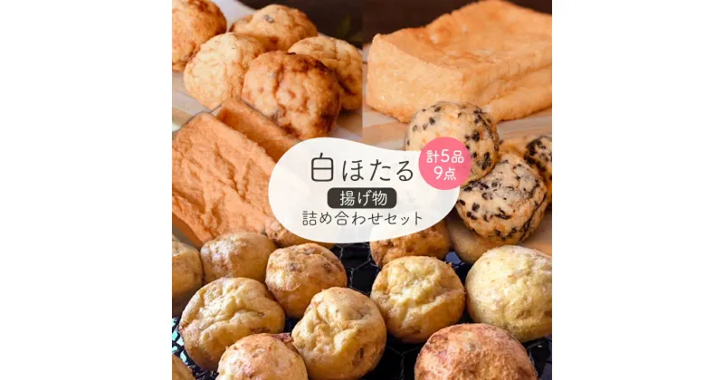 【ふるさと納税】白ほたる豆腐店揚げ物詰め合わせセット　 惣菜 手づくり 油揚げ 厚揚げ がんも 生姜がんも 玉ねぎがんも