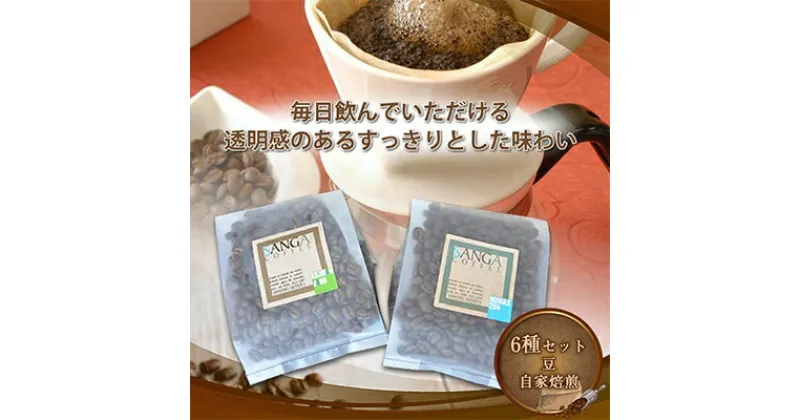 【ふるさと納税】サンガコーヒー〈豆〉100g×6種【1070089】