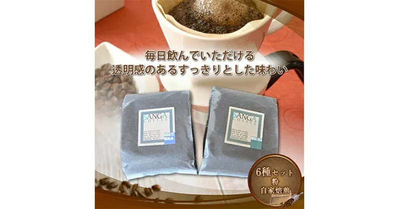 【ふるさと納税】サンガコーヒー〈粉〉100g×6種【1070090】