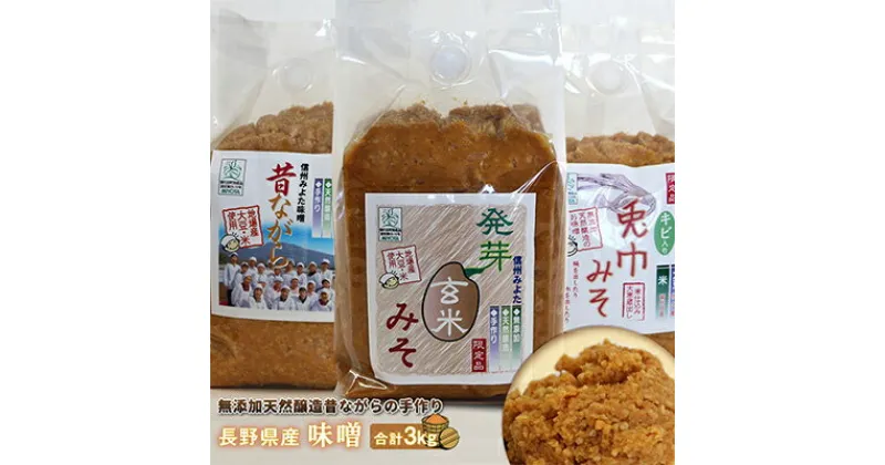 【ふるさと納税】味工房「みよた」味噌　3品詰セット【配送不可地域：離島】【1042841】