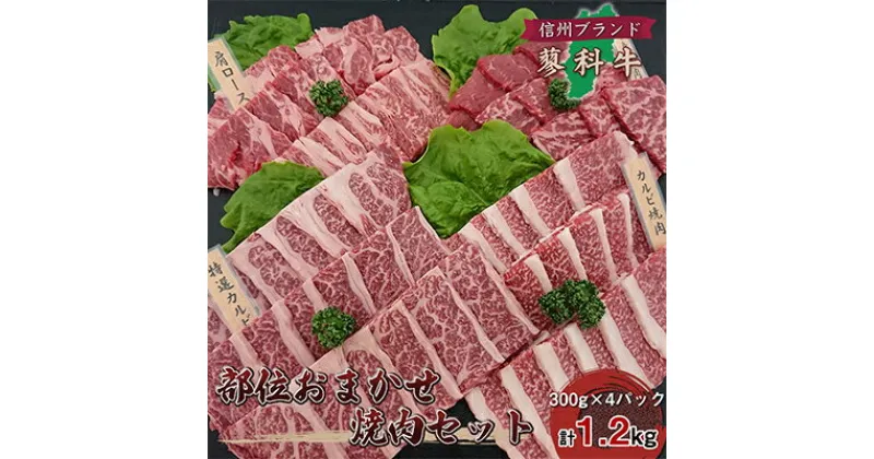 【ふるさと納税】【牛肉おまかせ焼き肉セット】信州蓼科牛の厳選部位を1.2kg(300g×4pc)御代田町古越牧場産【配送不可地域：離島】【1297063】