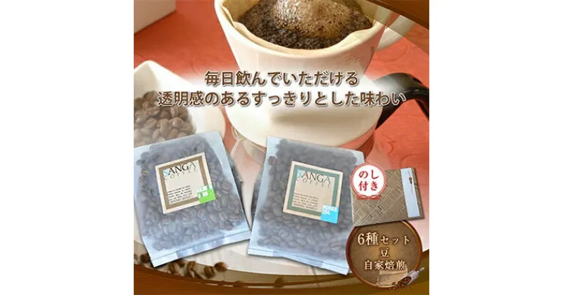 【ふるさと納税】【のし付き】サンガコーヒー〈豆〉100g×6種【1097801】