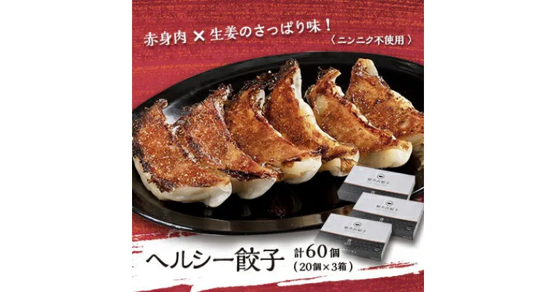 【ふるさと納税】ヘルシー餃子セット60個(20個×3箱)【配送不可地域：離島】【1468732】